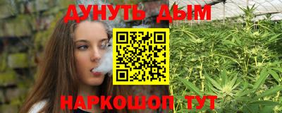 дмт Новодвинск