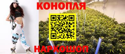 прущий лед Новозыбков