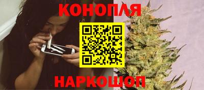 прущий лед Новозыбков