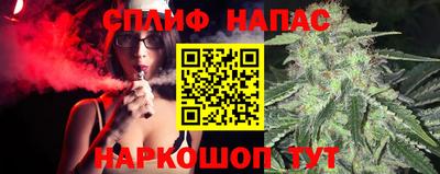 дмт Новодвинск