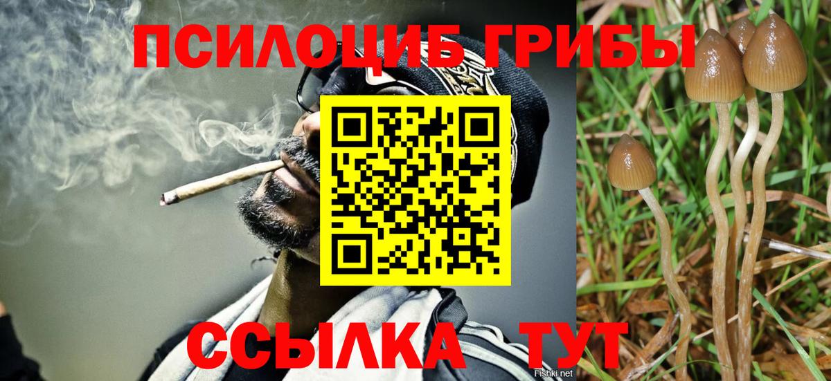 Галлюциногенные грибы MAGIC MUSHROOMS Строитель