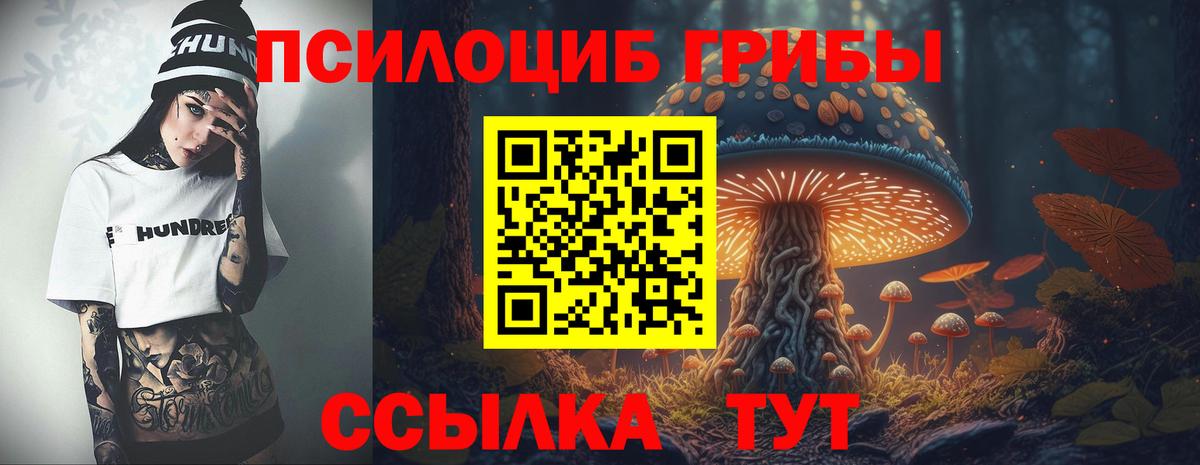 Строитель  Псилоцибиновые грибы ЛСД  Галлюциногенные грибы MAGIC MUSHROOMS  Вход с VPN 